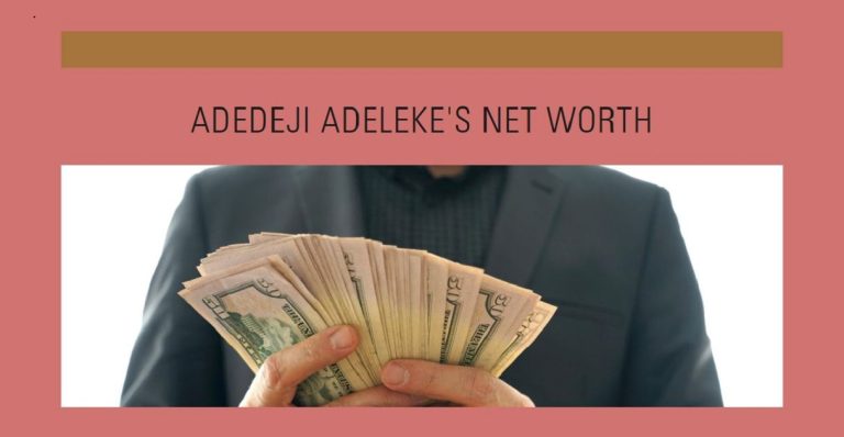 Adedeji Adeleke Net Worth 2024
